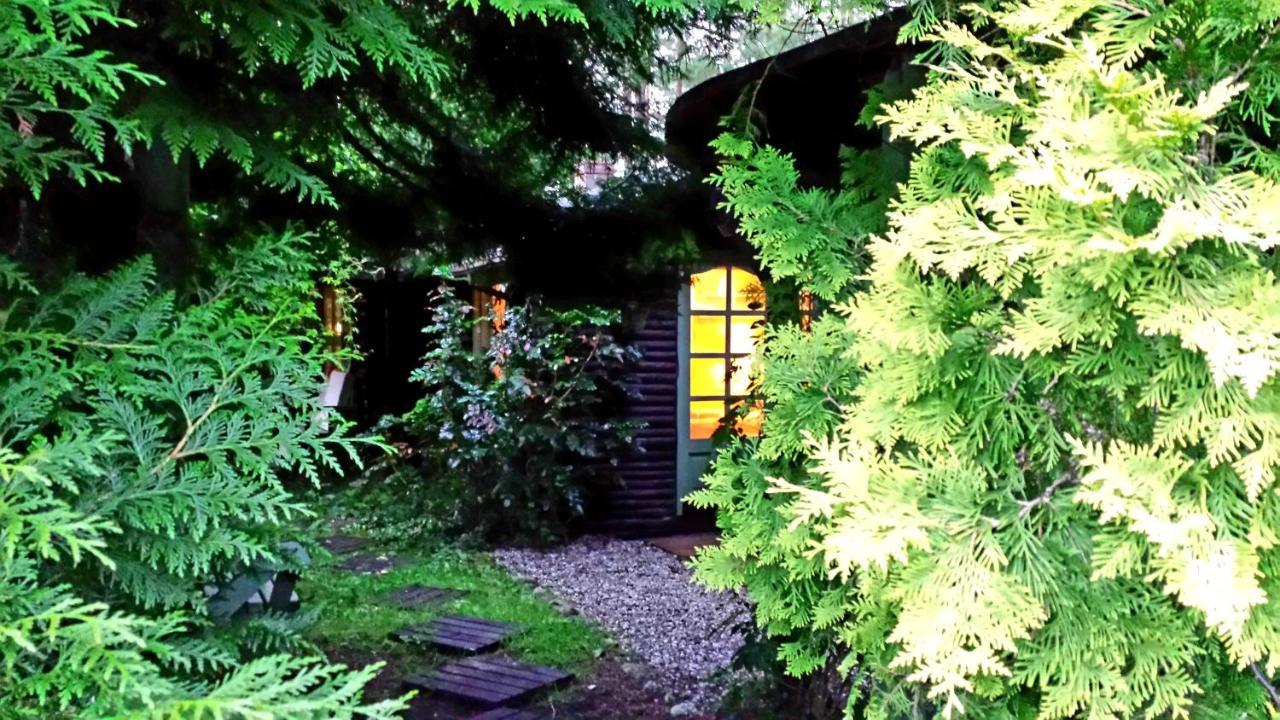 Domek Letniskowy Na Kaszubach Lub Apartament Z Kominkiem Пуцк Экстерьер фото
