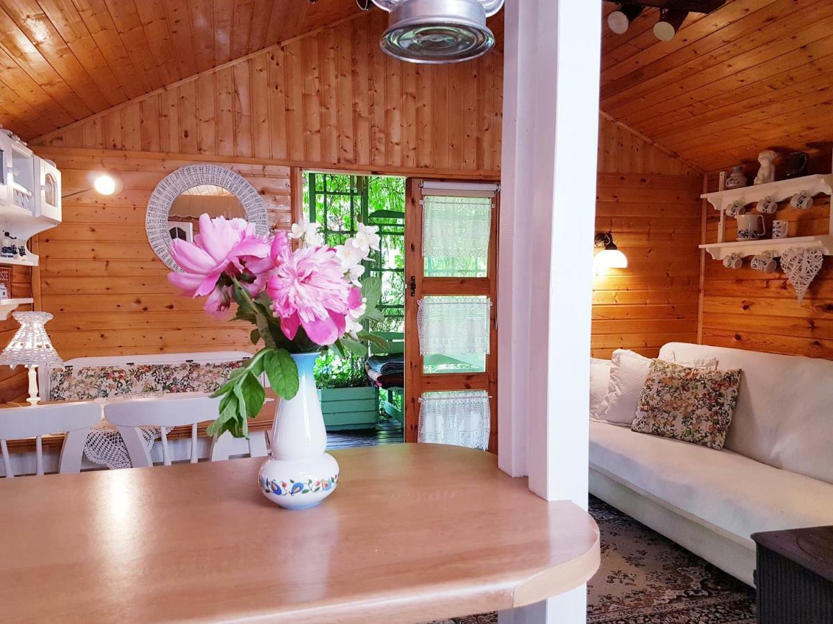 Domek Letniskowy Na Kaszubach Lub Apartament Z Kominkiem Пуцк Экстерьер фото